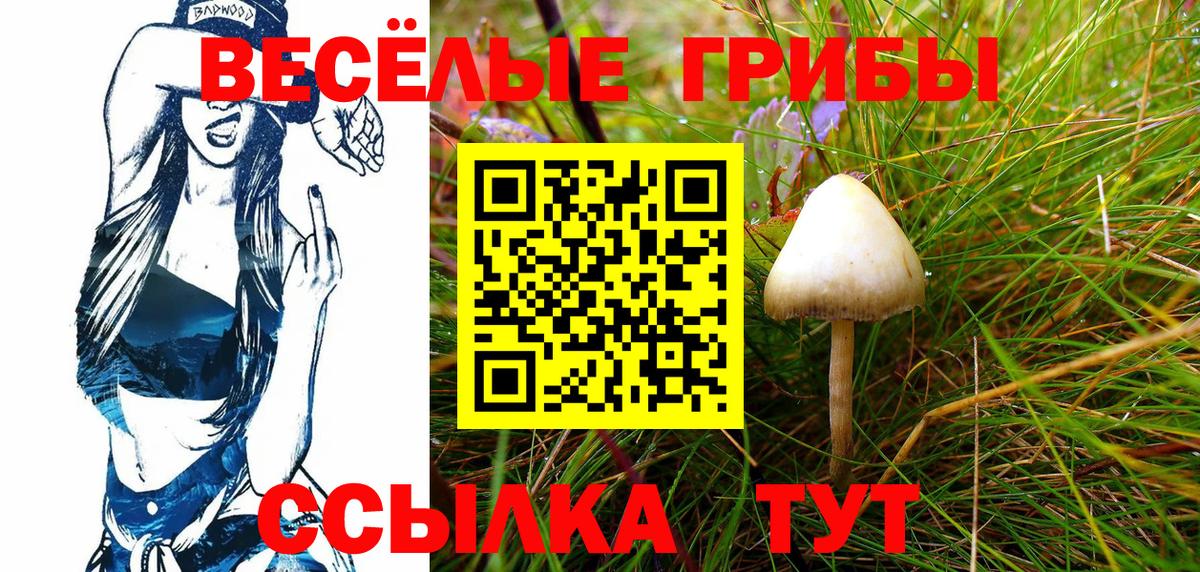 Псилоцибиновые грибы MAGIC MUSHROOMS  Вход с VPN  даркнет сайт  Нарткала 